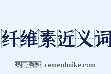 纤维素近义词是什么意思的图片